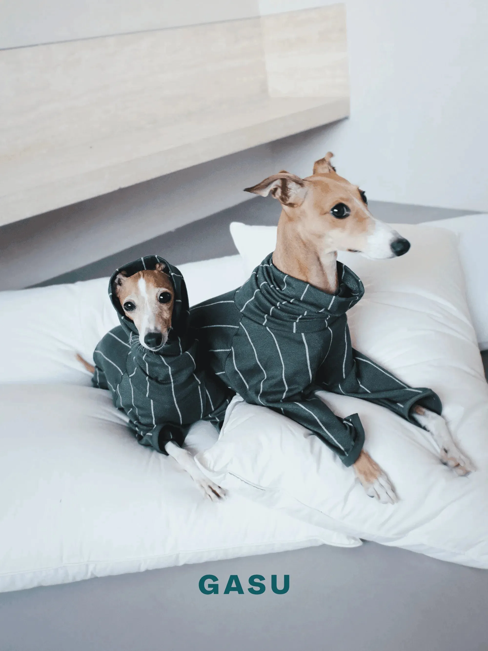 4-Leg Striped Dog Pajamas