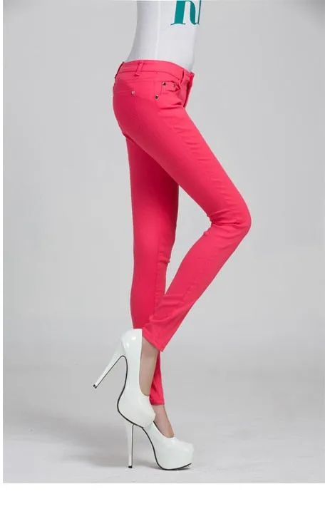 Solid Pencil Womens Pant