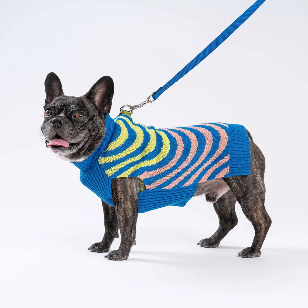 Verloop Sound Wave Dog Sweater Lime Cobalt