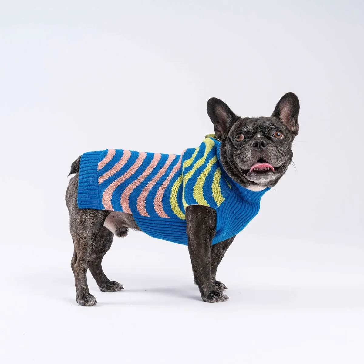 Verloop Sound Wave Dog Sweater Lime Cobalt