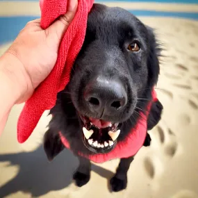 WaterHugger Wearable Dog/Cat Towel